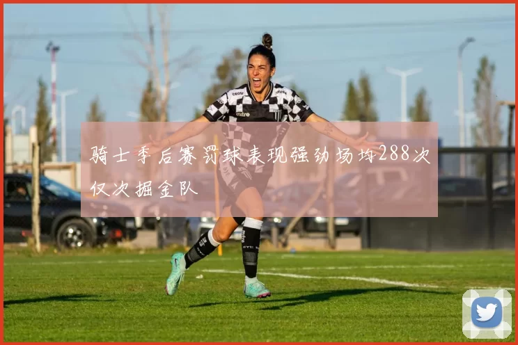 骑士季后赛罚球表现强劲场均288次仅次掘金队